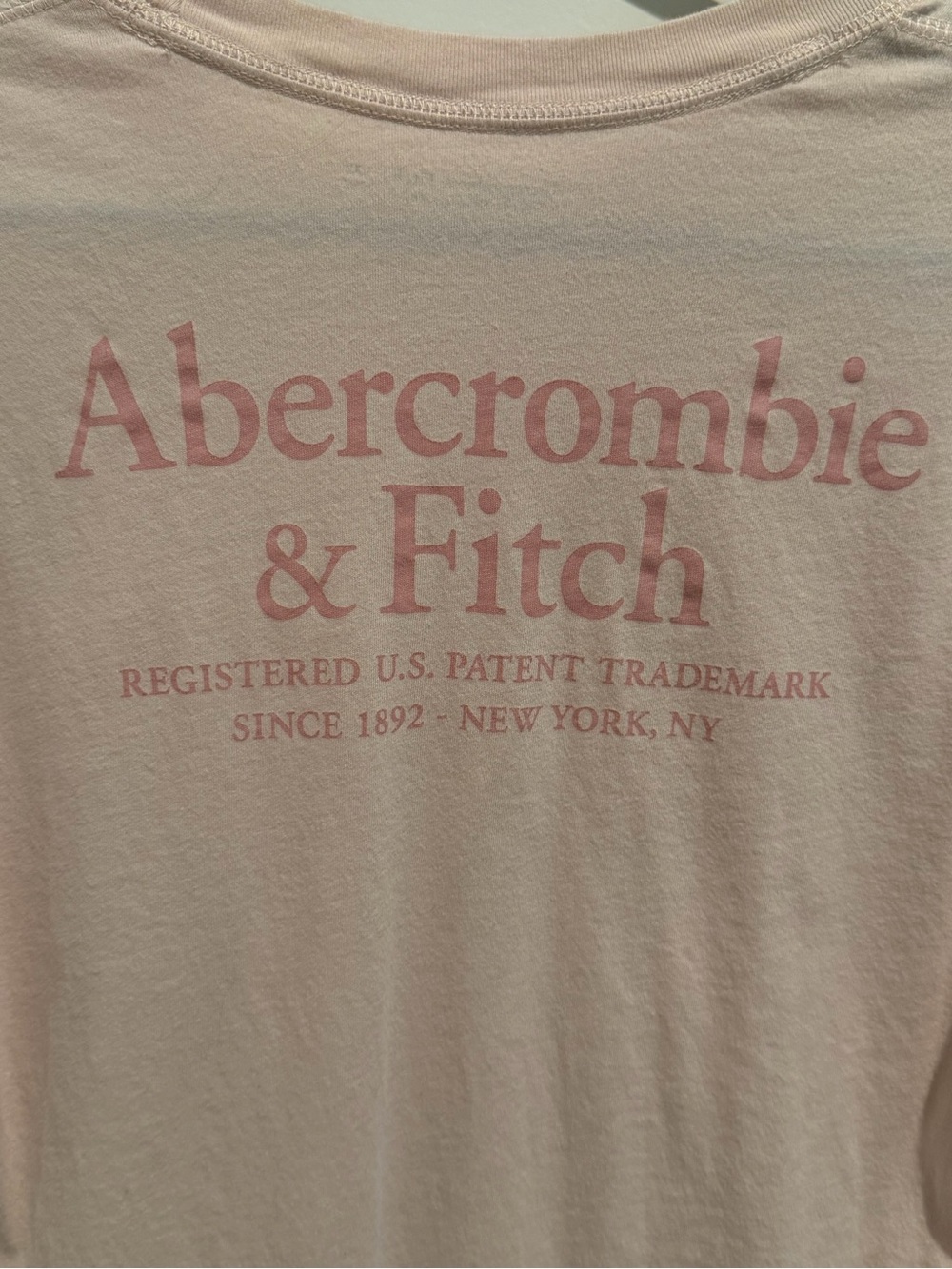 Abercrombie & Fitch Long-Sleeve Logo Tee - Pale Pink - Picture 6 of 6